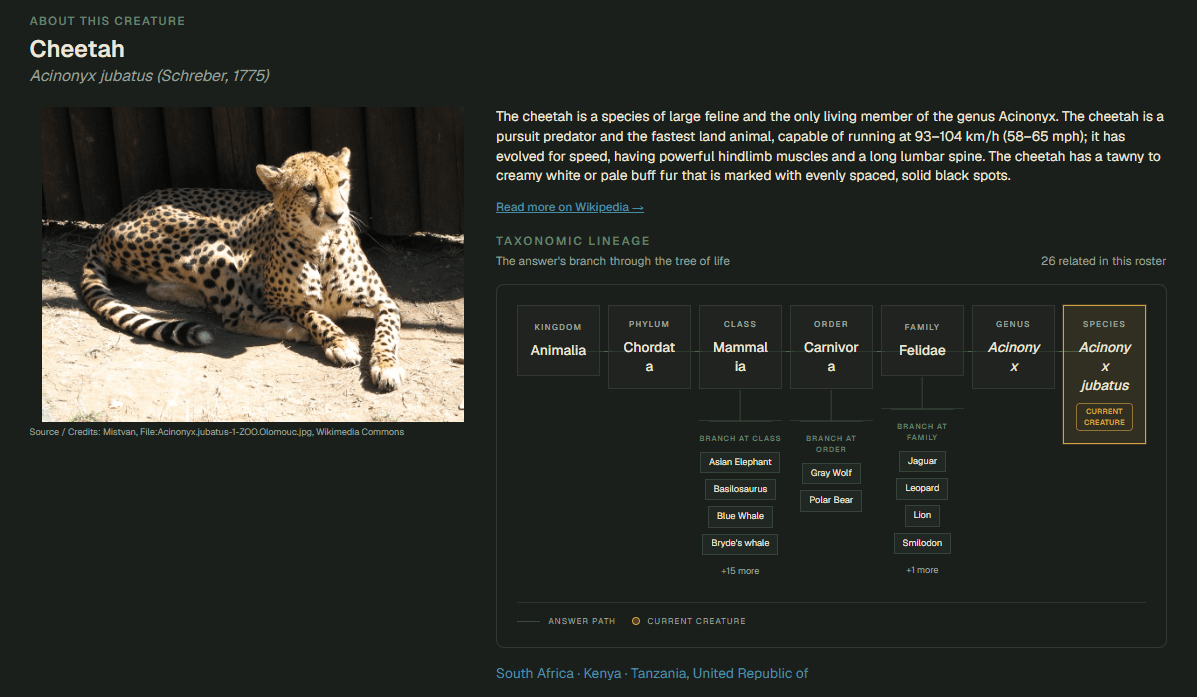 Findin About this creature page for the cheetah, with a taxonomic lineage tree from kingdom to species