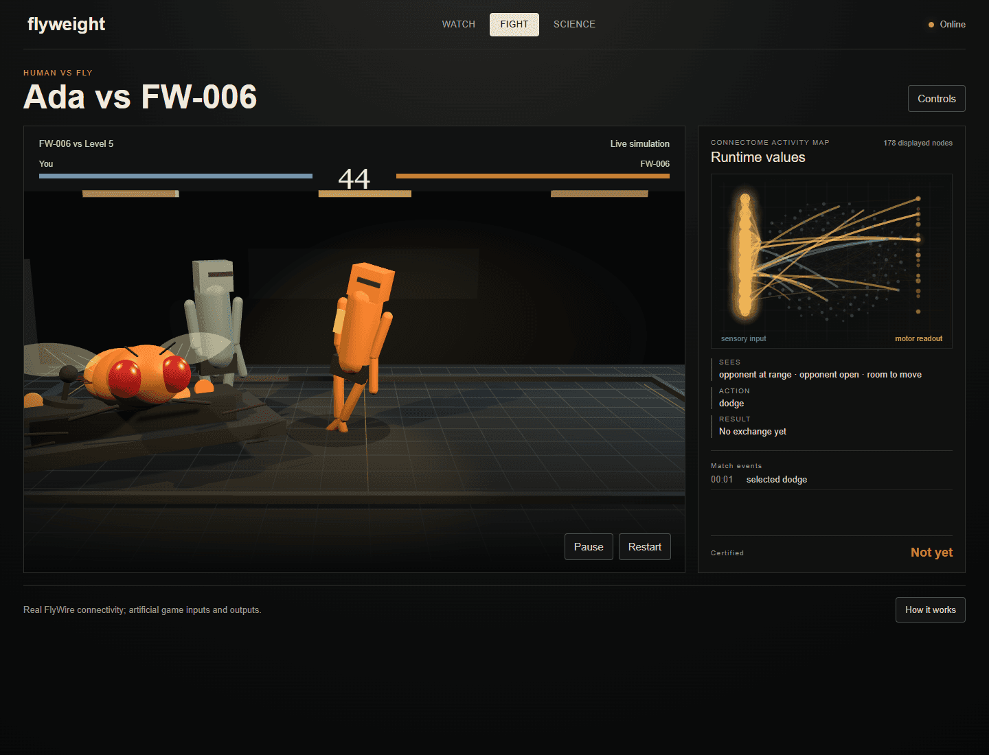 Flyweight v11 live fight, health bars and connectome-activity panel visible