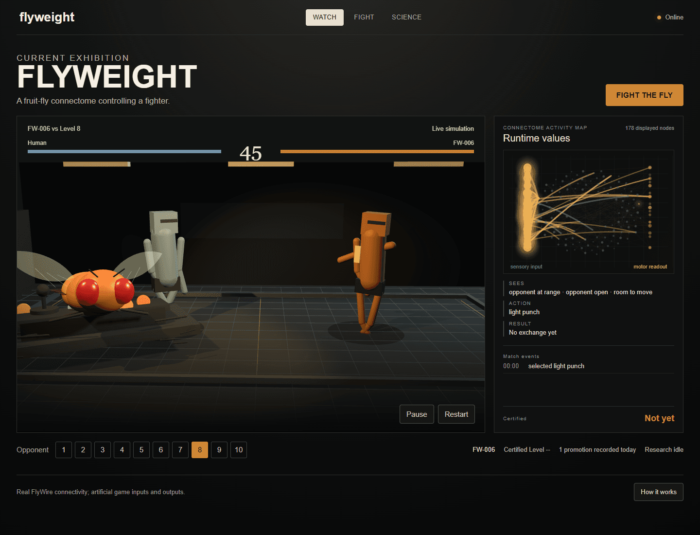 Flyweight spectator/watch mode, wide view